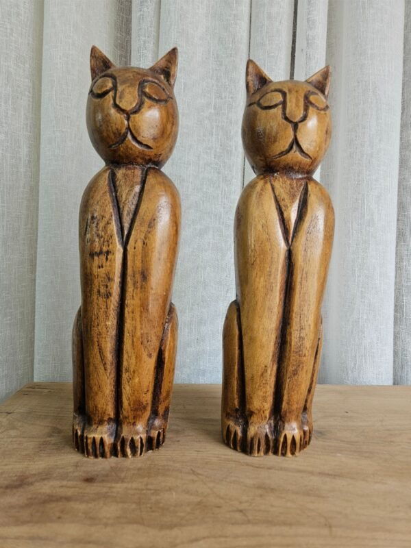 Gatos - Imagem 5